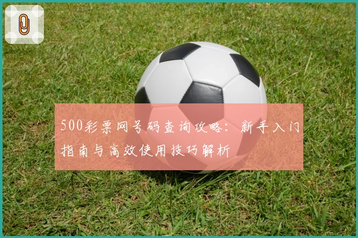 500彩票网号码查询攻略：新手入门指南与高效使用技巧解析
