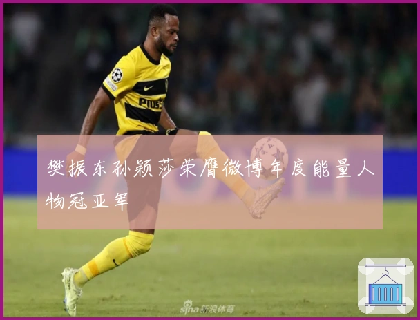 樊振东孙颖莎荣膺微博年度能量人物冠亚军