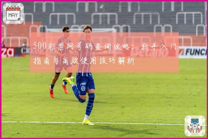 500彩票网号码查询攻略：新手入门指南与高效使用技巧解析