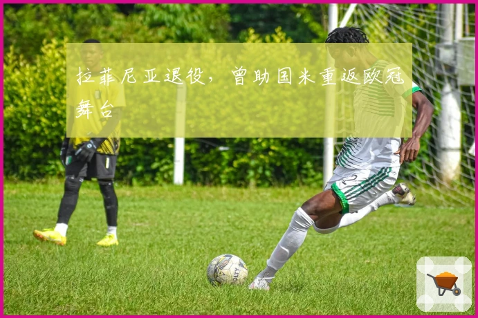 拉菲尼亚退役，曾助国米重返欧冠舞台