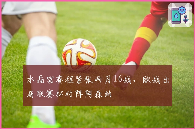 水晶宫赛程紧张两月16战，欧战出局联赛杯对阵阿森纳