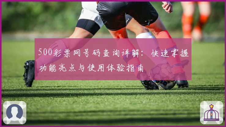 500彩票网号码查询详解:快速掌握功能亮点与使用体验指南